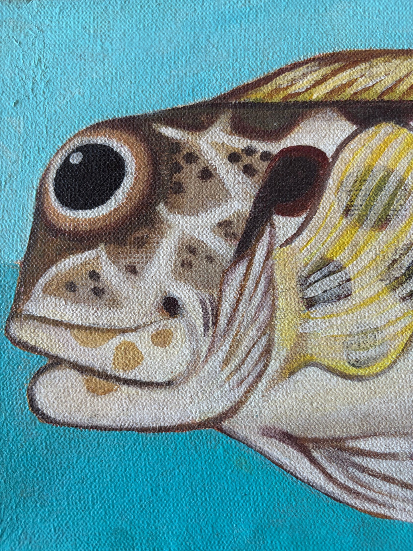 Plenty of Fish in the Sea: an individual piece