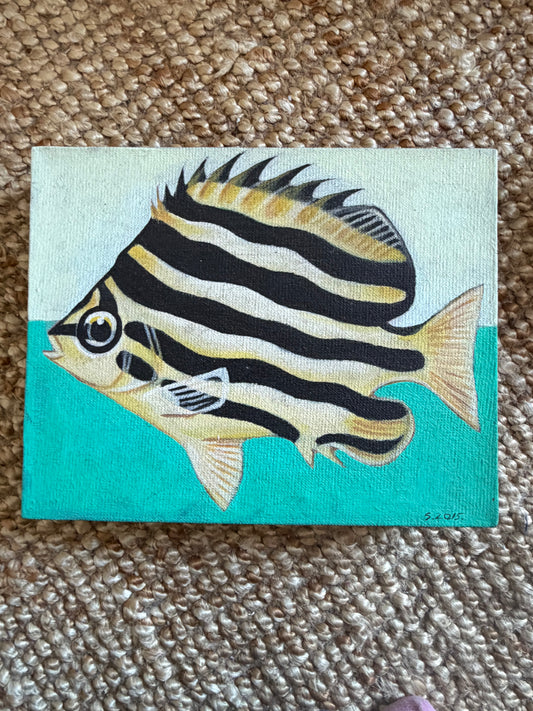 Plenty of Fish in the Sea: an individual piece