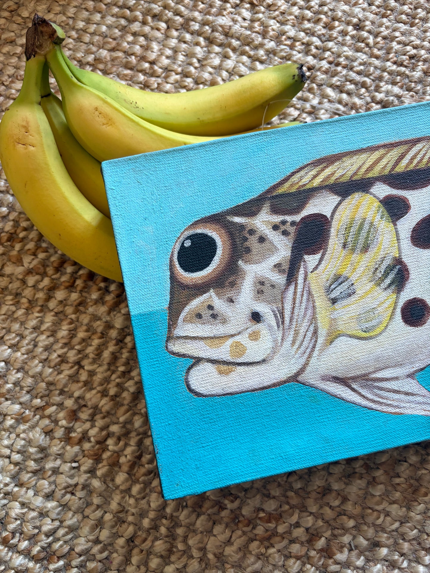 Plenty of Fish in the Sea: an individual piece