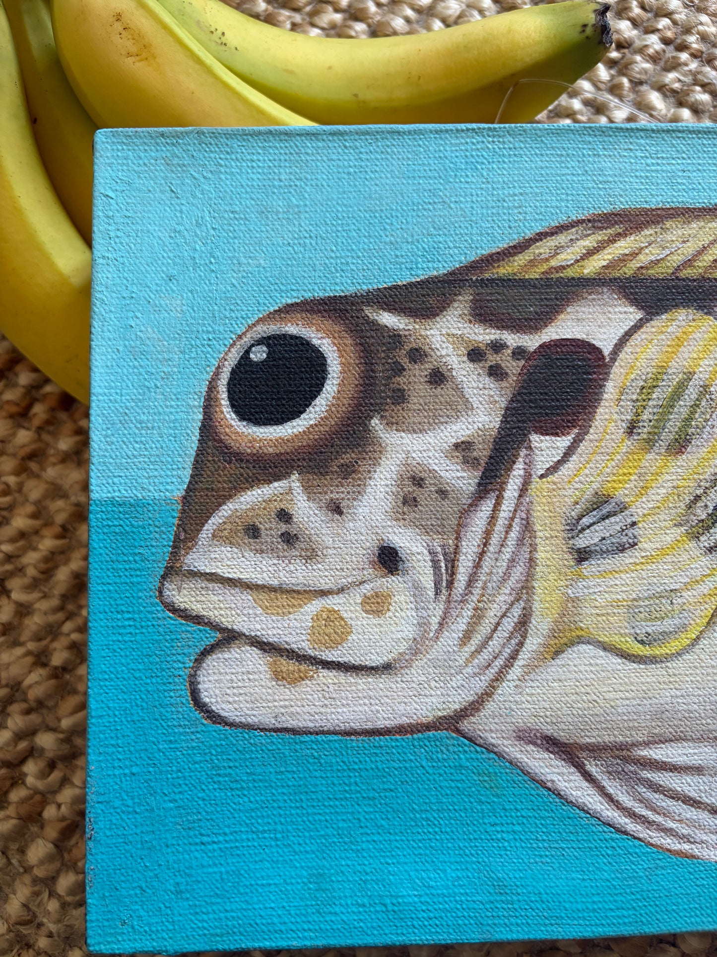 Plenty of Fish in the Sea: an individual piece