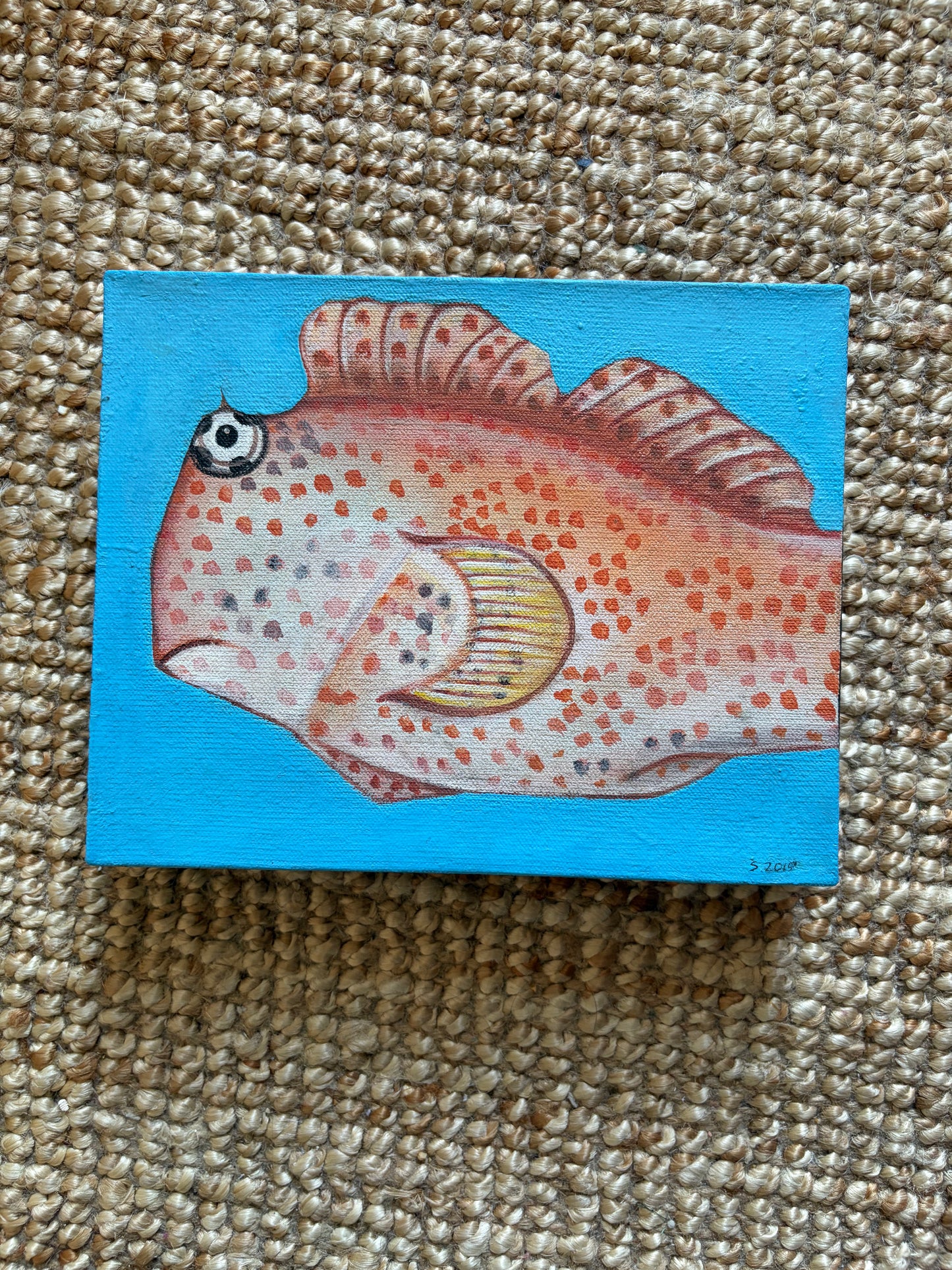 Plenty of Fish in the Sea: an individual piece