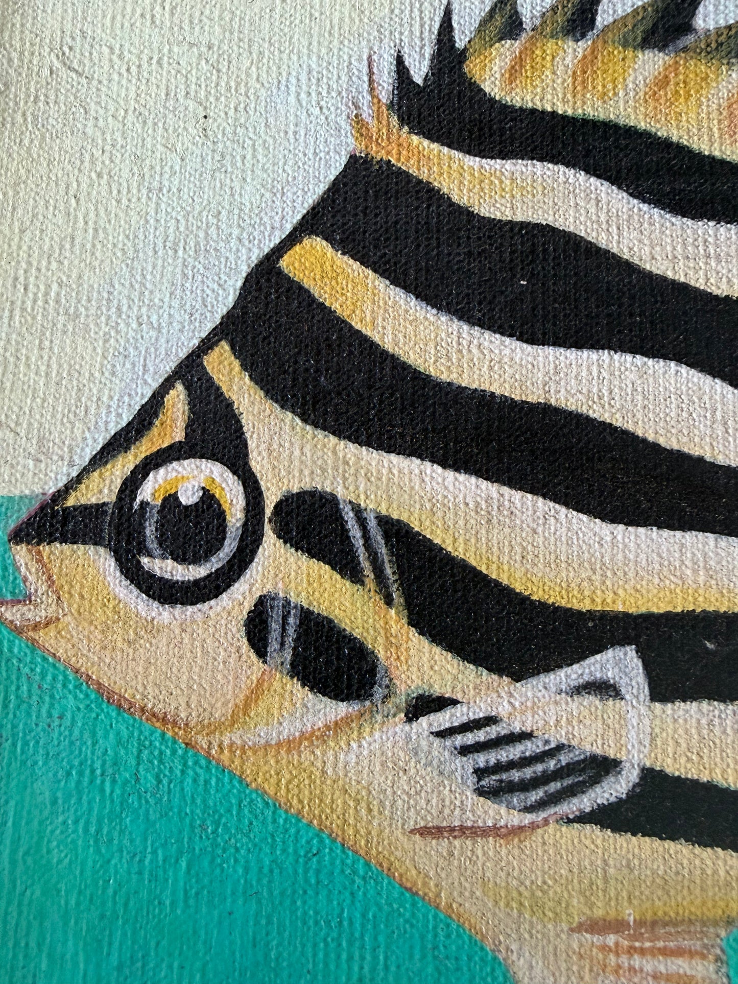 Plenty of Fish in the Sea: an individual piece